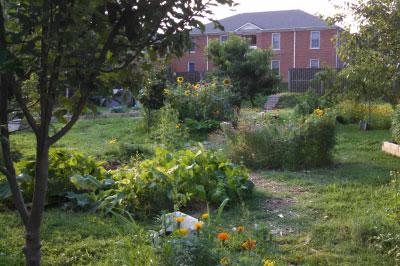 Campus Garden